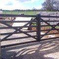 Farm Gate 11